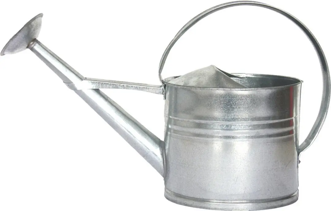 Esschert Design Watergieter Zink 7,3L - 37x20x61cm