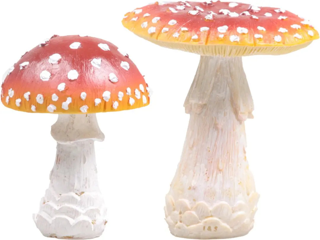 Decoris Paddenstoelen Set