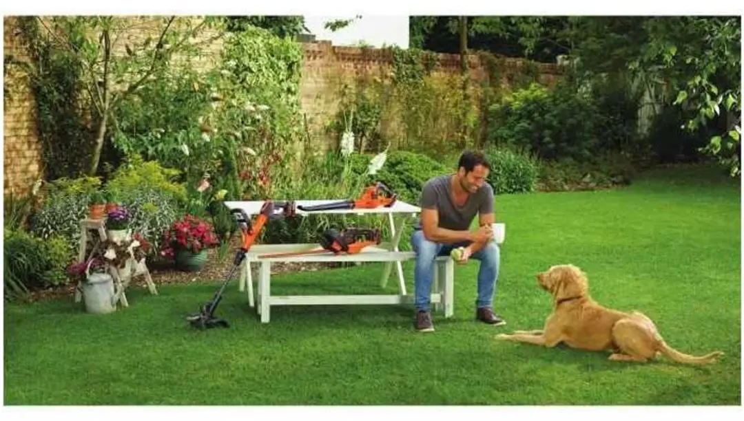 BLACK+DECKER GTC18452PC Heggenschaar 18V - 2.0Ah - 45cm
