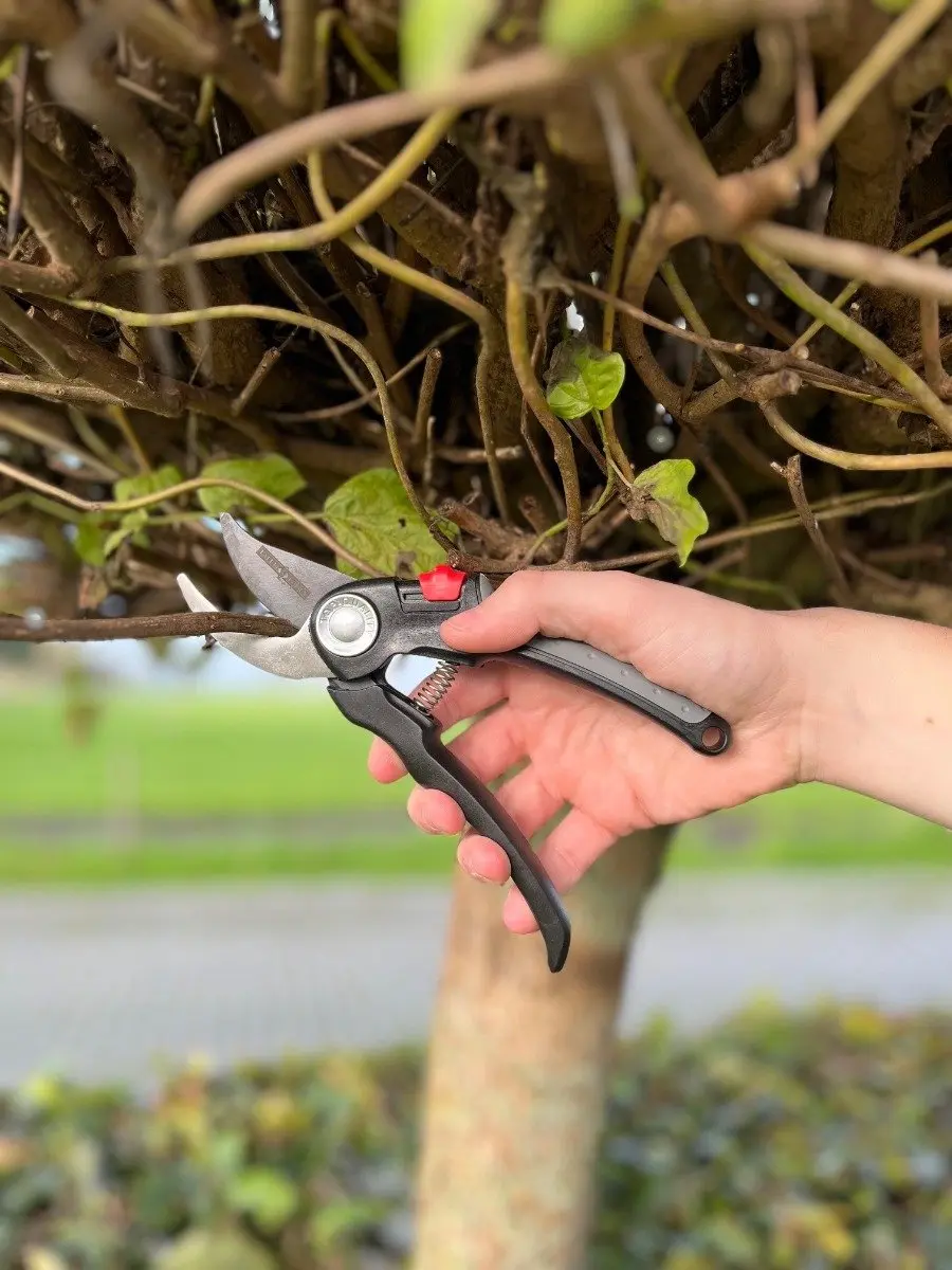 Talen Tools Premium Voorbijsnijdende Snoeischaar 18,5cm