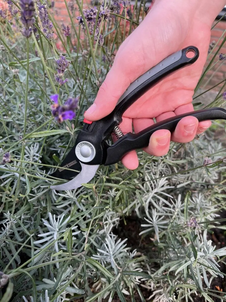 Talen Tools Premium Voorbijsnijdende Snoeischaar 18,5cm