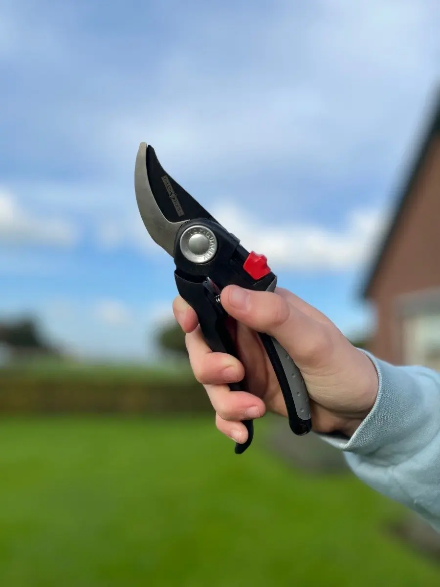 Talen Tools Premium Voorbijsnijdende Snoeischaar 18,5cm