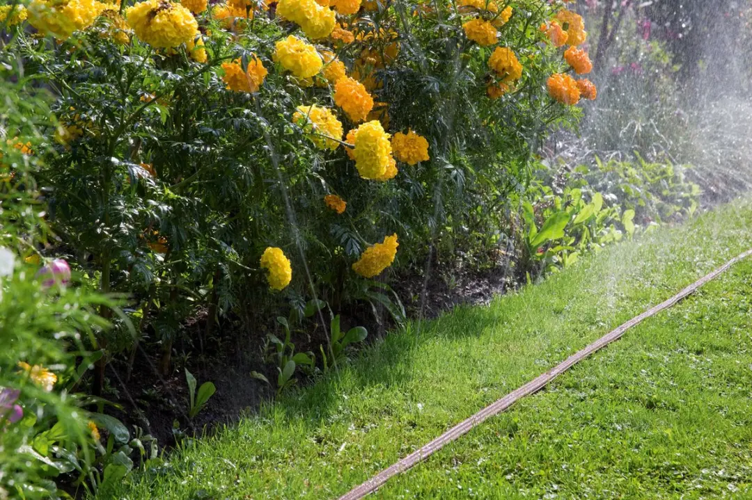 Gardena Sproeislang 15m - Bruin