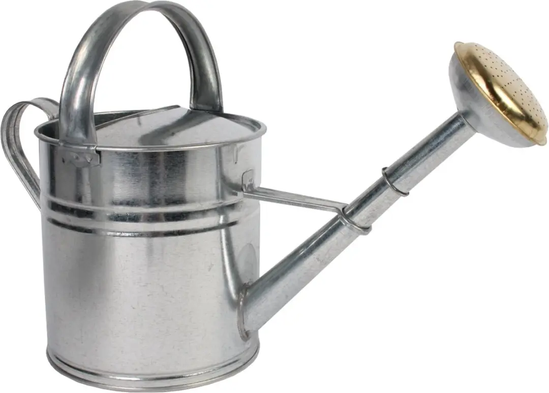 Talen Tools Verzinkte Gieter 5L