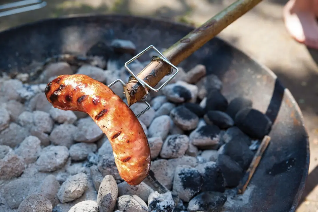Esschert Design Takgrill - 2 Stuks - Grijs