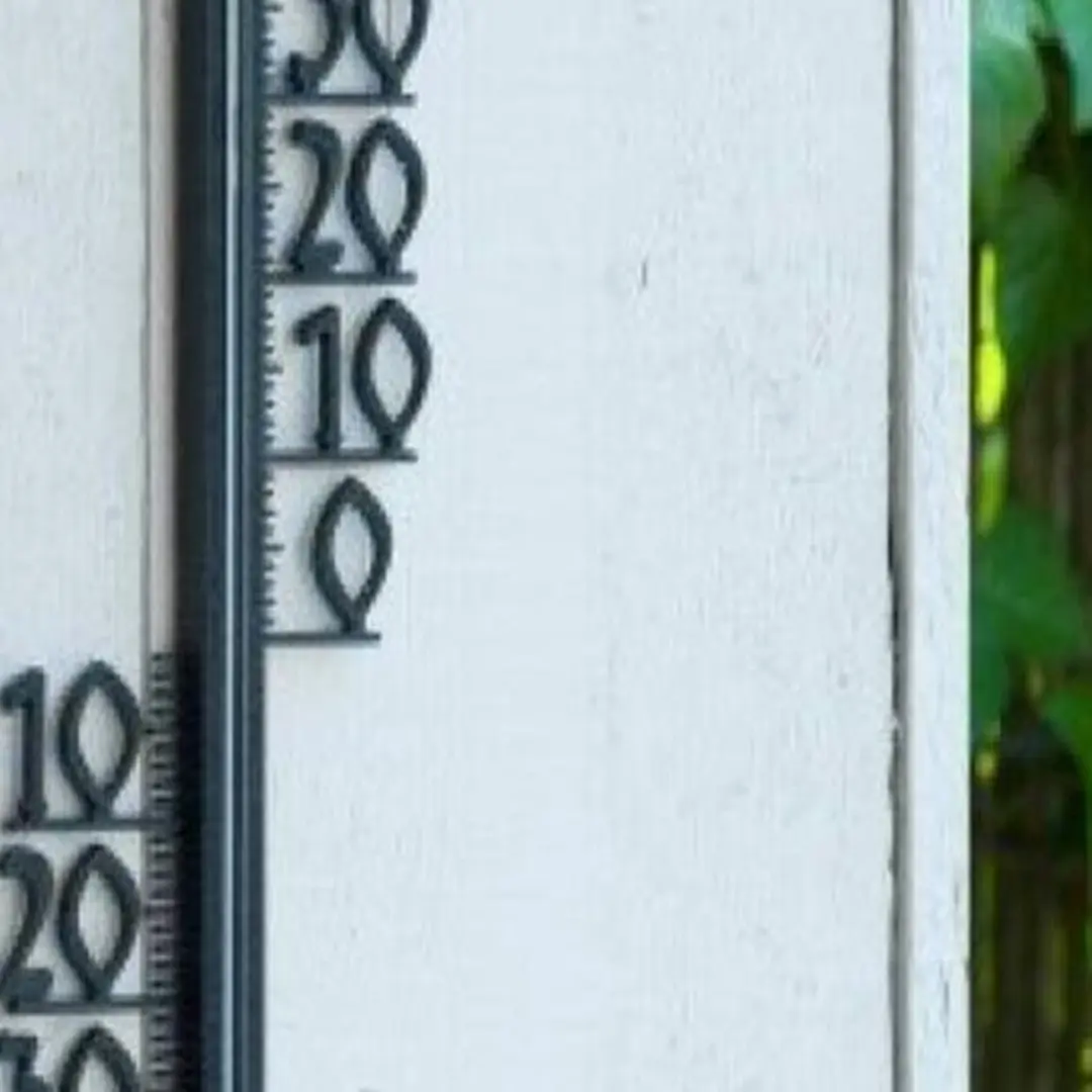 Nature Buitenthermometer Zwart 11x46cm