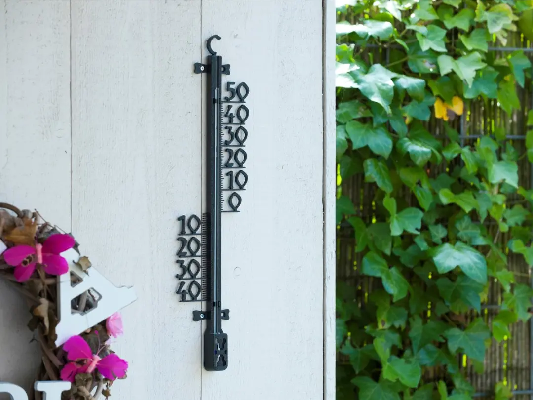Nature Buitenthermometer Zwart 11x46cm