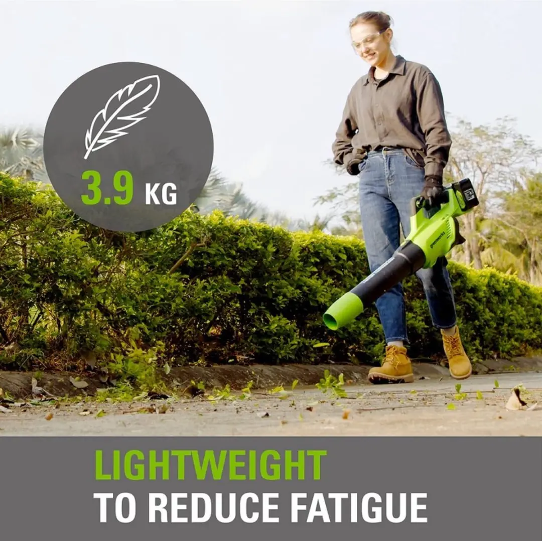 Greenworks 48V Accu Bladblazer - 1152W - 217 km/h - 2x 2000mAh