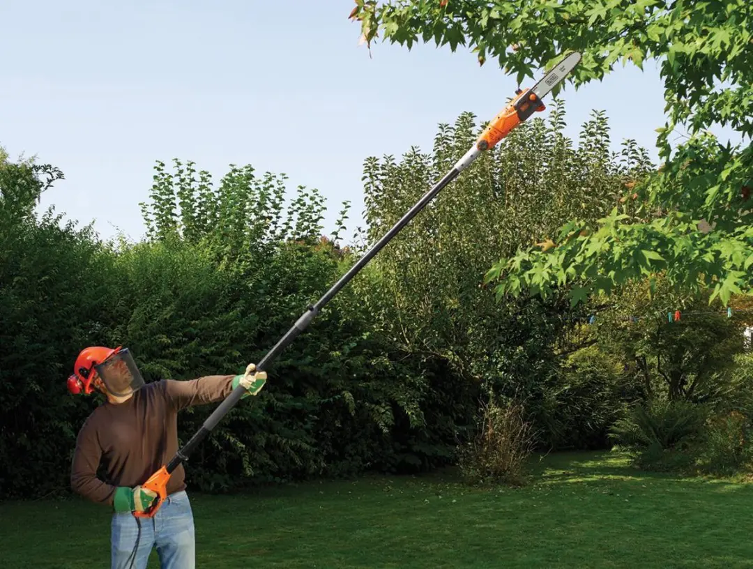 BLACK+DECKER PS7525-QS Takkenzaag 800W - 25cm zwaard