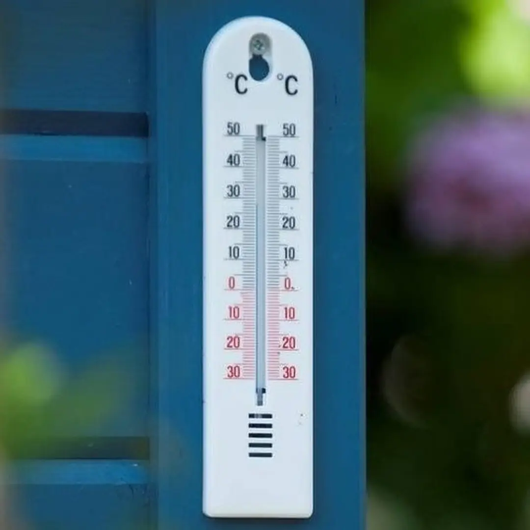 Nature Buitenthermometer Wit - 5 Stuks
