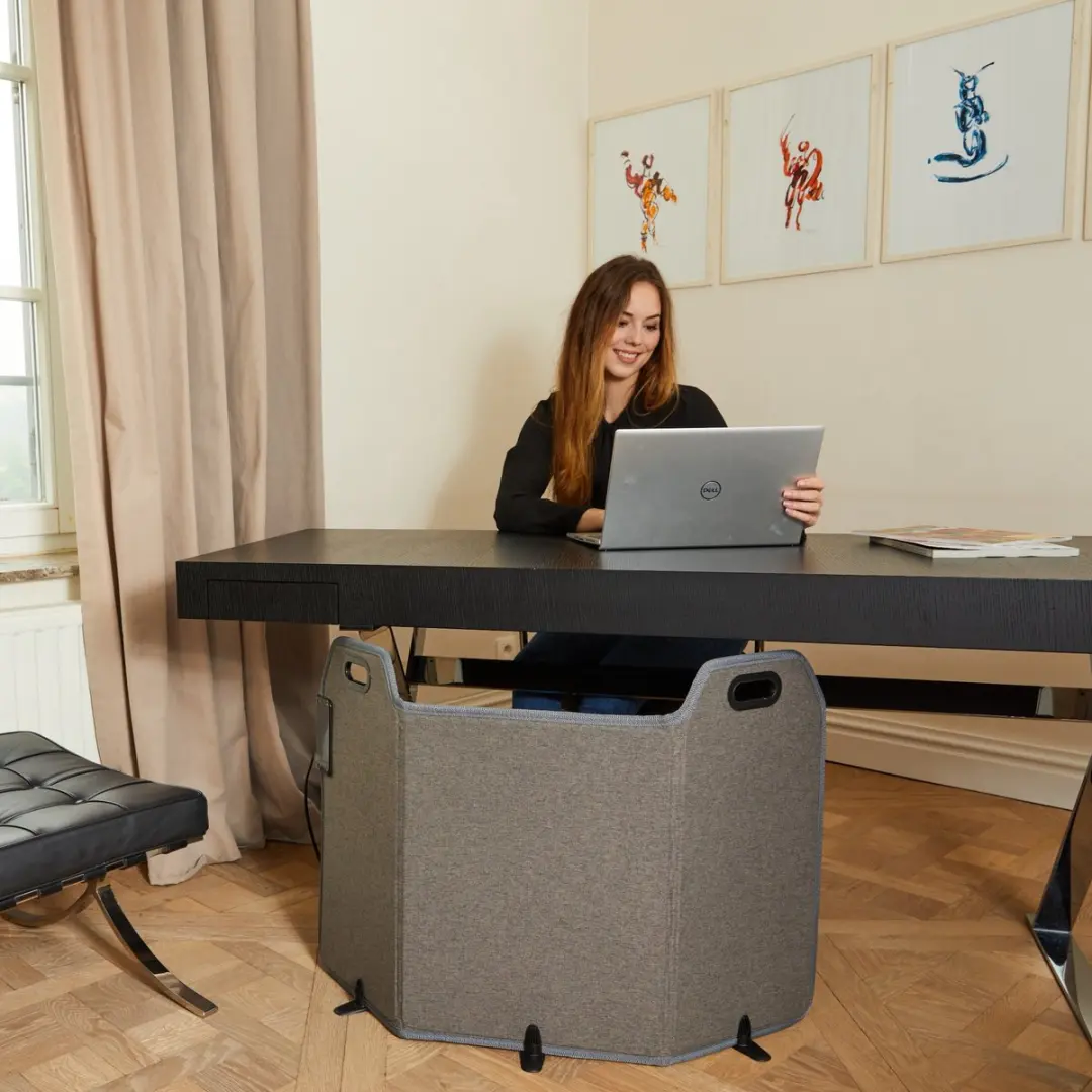 Lanaform Opvouwbaar Verwarmingspaneel 165W - Grijs