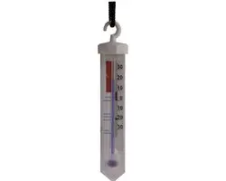 Talen Tools Diepvriesthermometer 19cm