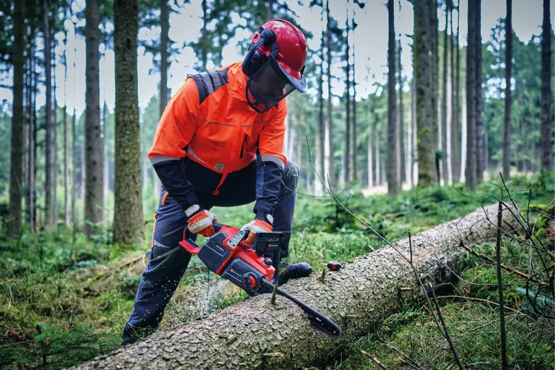 Einhell Professional GP-LC 36/40 Li BL Kettingzaag - 36V - 40cm - afbeelding 5 van 6