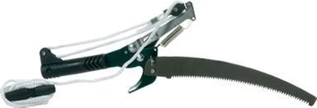 Talen Tools Boomtakkenschaar