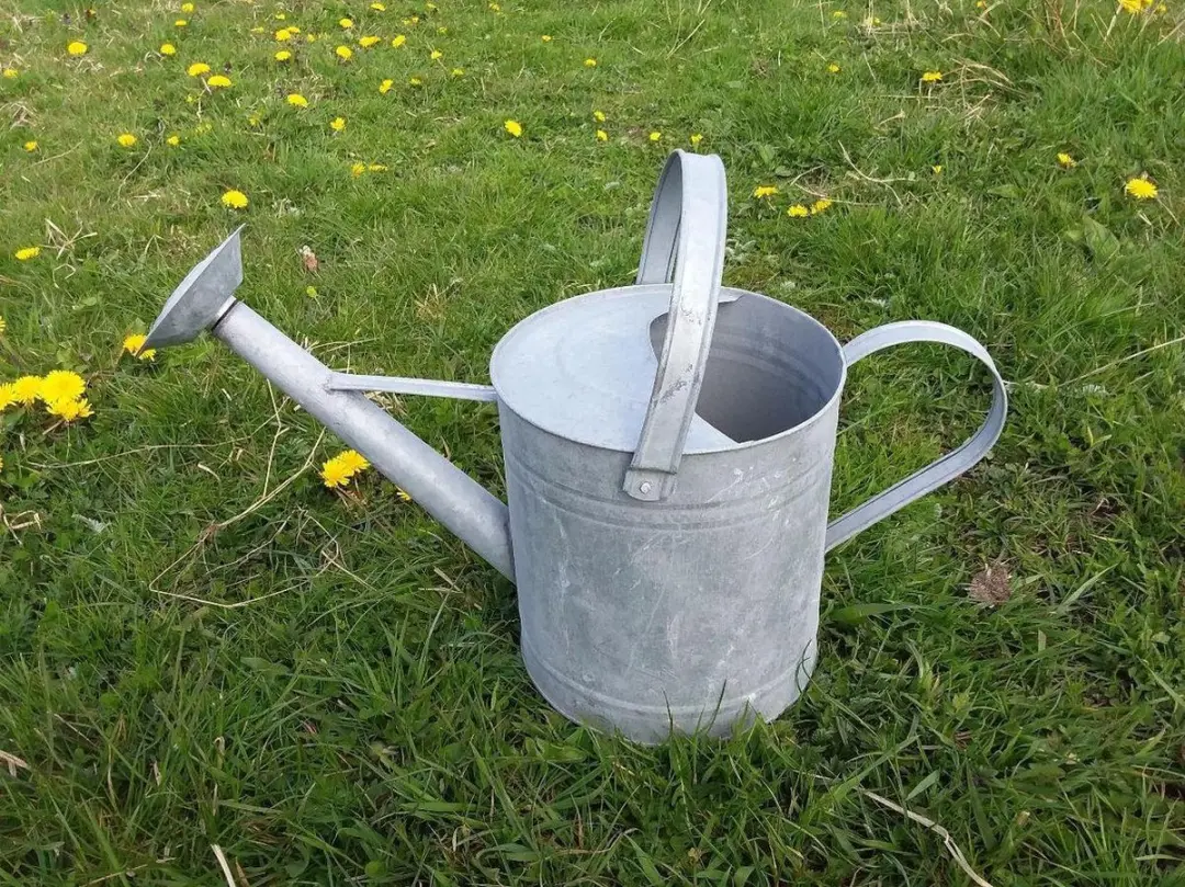 Esschert Design Oud Zink Gieter 6,5L - Zilvergrijs