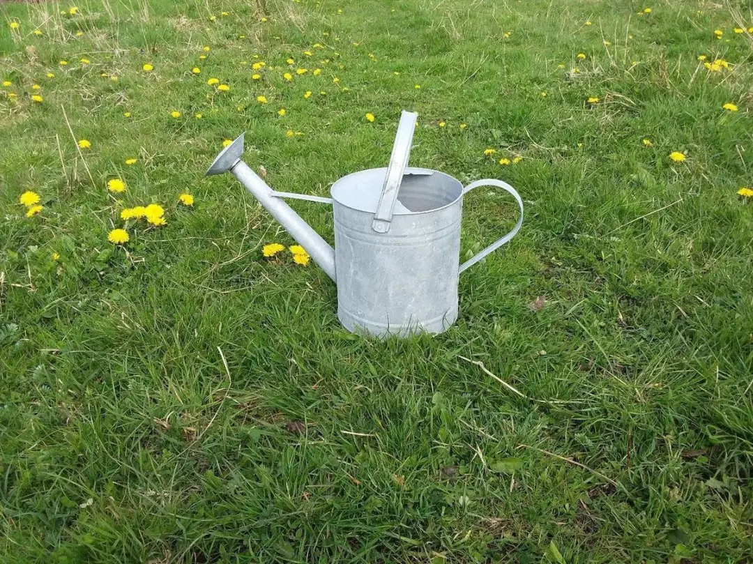 Esschert Design Oud Zink Gieter 6,5L - Zilvergrijs