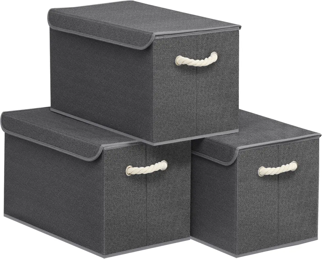 Songmics Opbergbox RFB050GZ01 - 3-delig Leigrijs - 45L