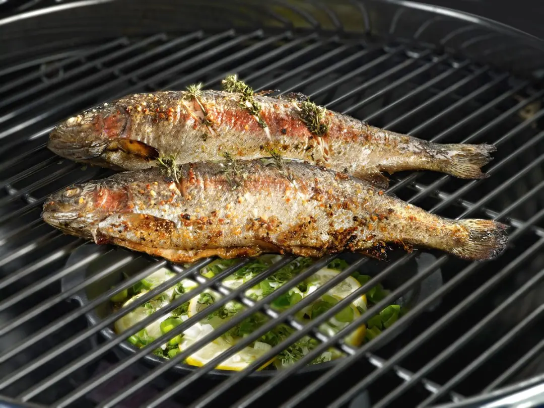 OutdoorChef Aromabak 23cm - Zwart