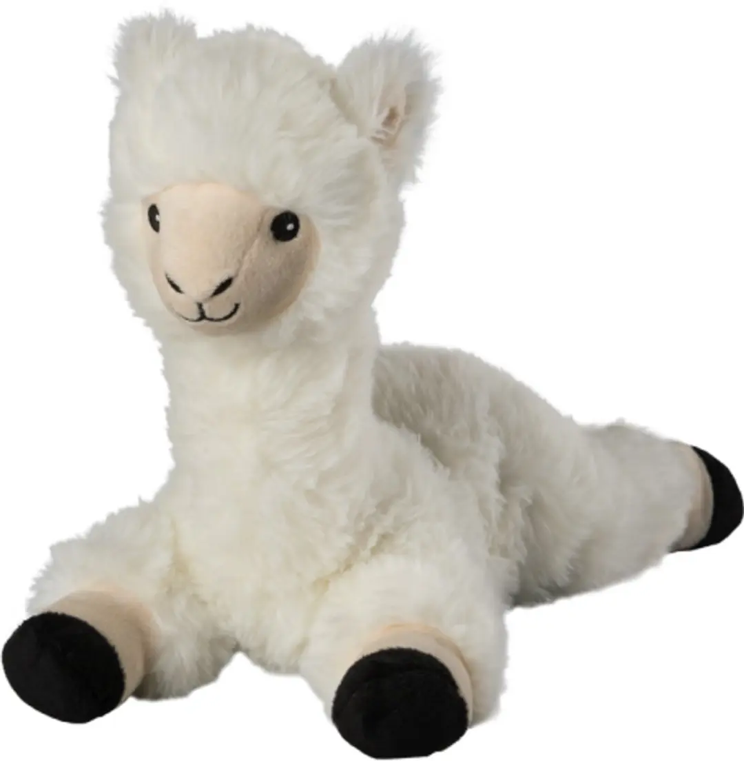 Lama
