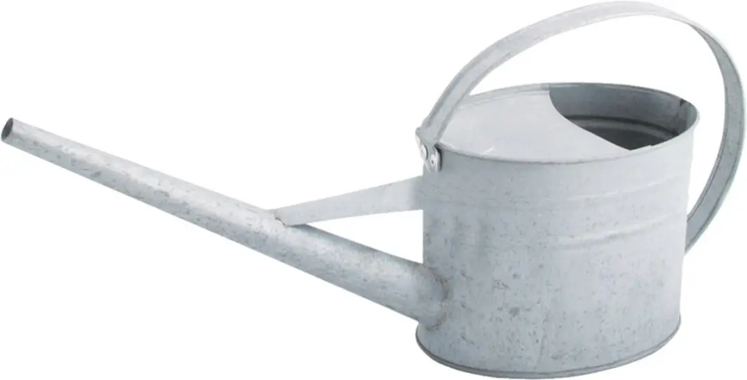 Esschert Design Gieter 1.6L - Oud zink - Smalle tuit
