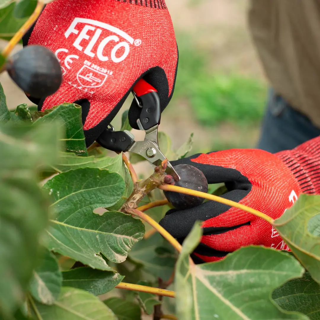 Felco 320 Pluk- en Bloemenschaar
