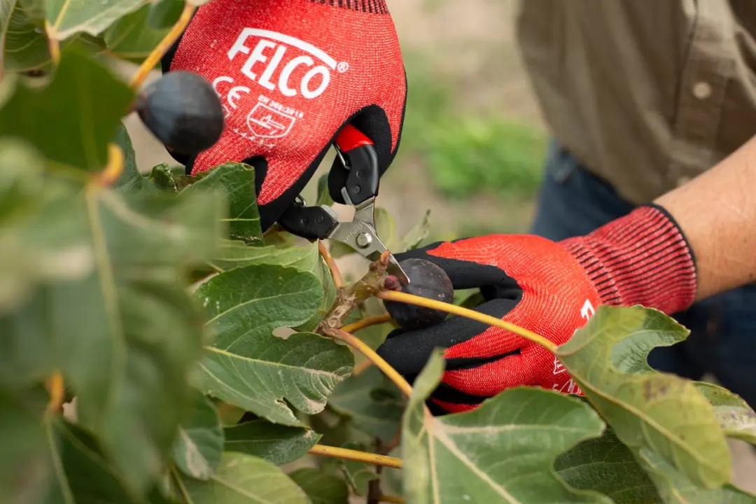 Felco 320 Pluk- en Bloemenschaar
