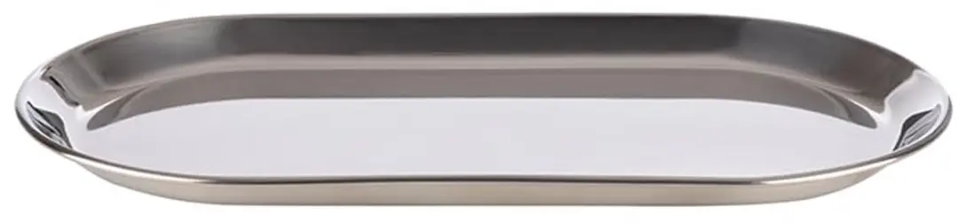 APS RVS Dienblad 30x15,5cm