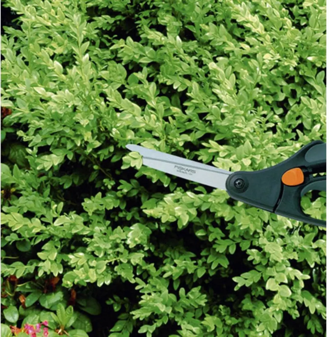 Fiskars Buxus Snoeischaar S50 - 3 Stuks
