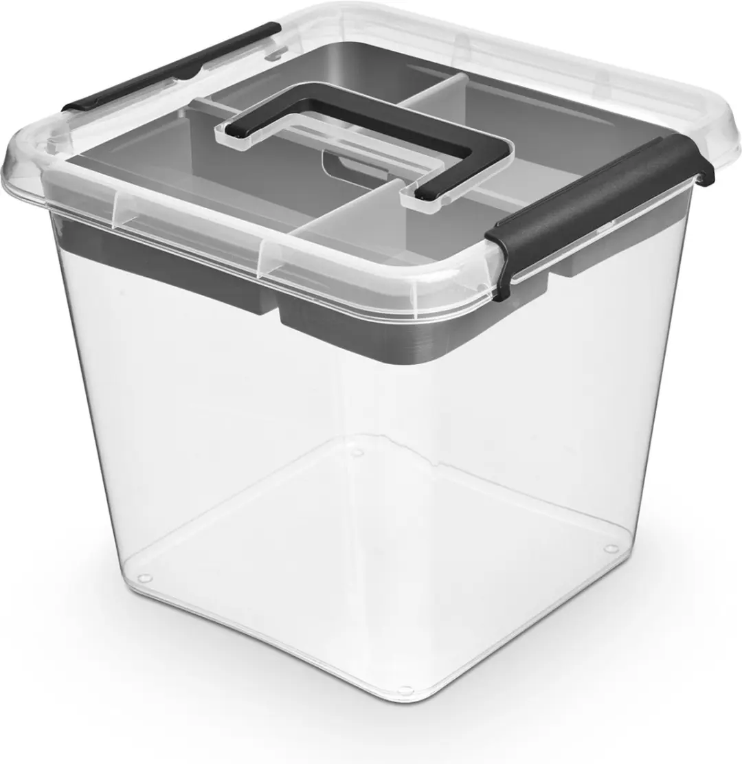 Opbergbox 4L Transparant/Grijs