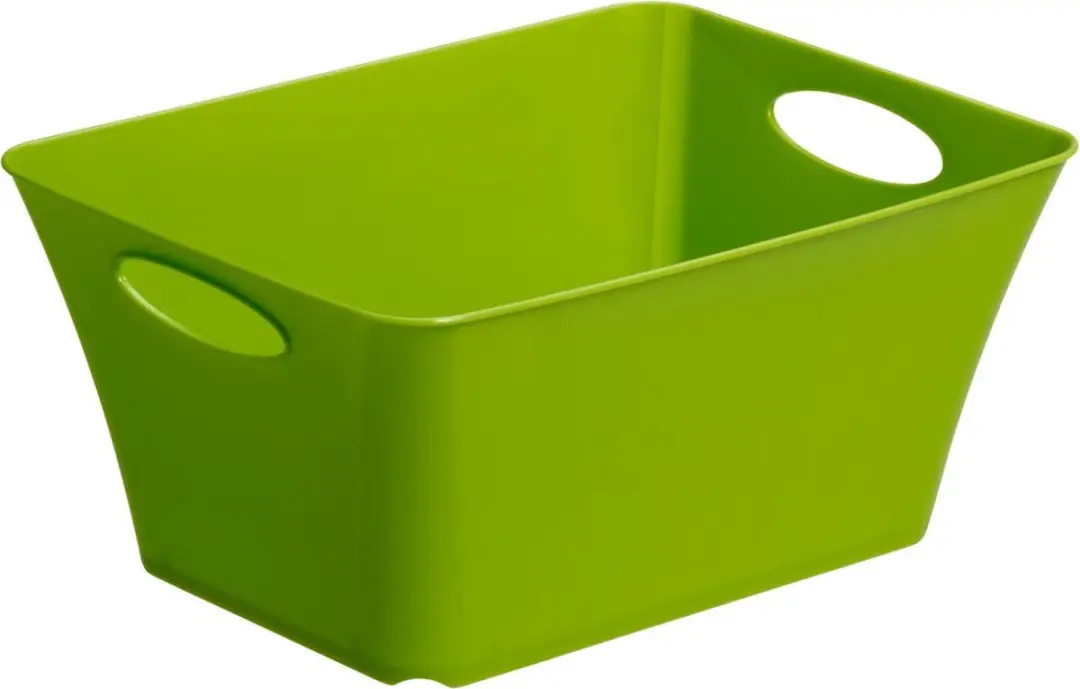 Rotho opbergbox LIVING 5,0 l (30 x 22 x 14 cm) groen