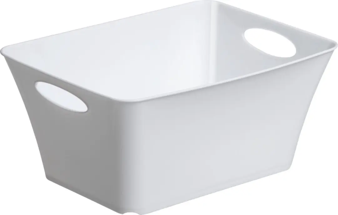 Rotho opbergbox LIVING 5,0 l (30 x 22 x 14 cm) groen