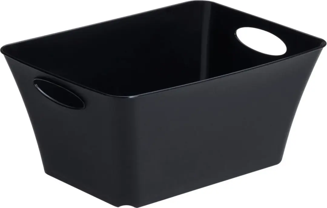 Rotho opbergbox LIVING 5,0 l (30 x 22 x 14 cm) groen