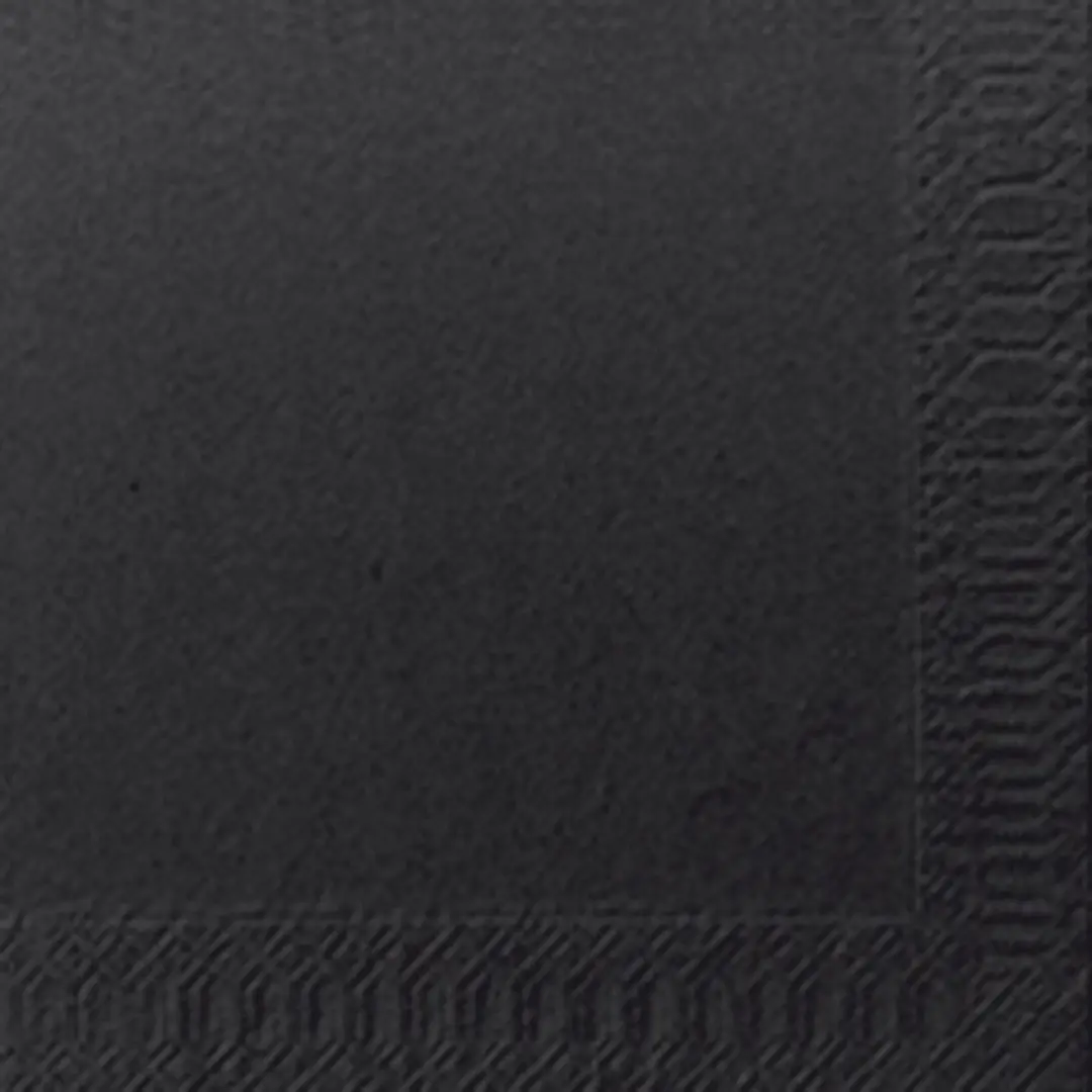 Duni Servet 2-laags 24x24cm Zwart