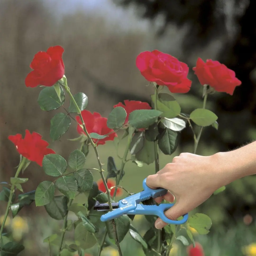 Gardena Multifunctionele Bloemenschaar 210mm - RVS
