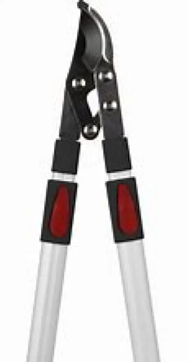 Talen Tools Takkenschaar Aambeeld Telescopisch 66-99cm