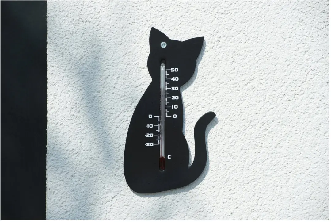 Nature Furniture Limited Wandthermometer Kat - Zwart