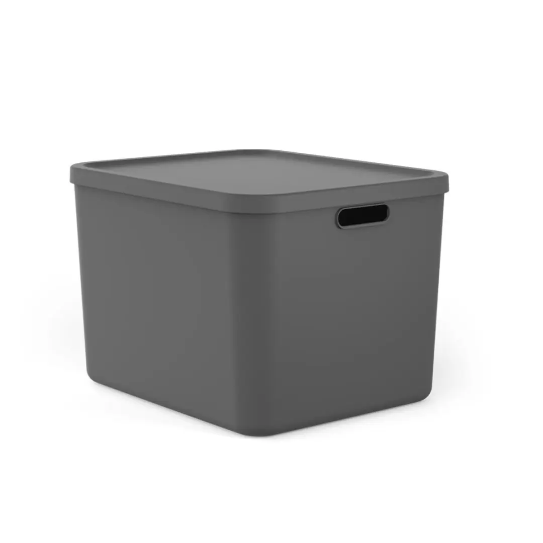 Rotho Albula Multibox 55L