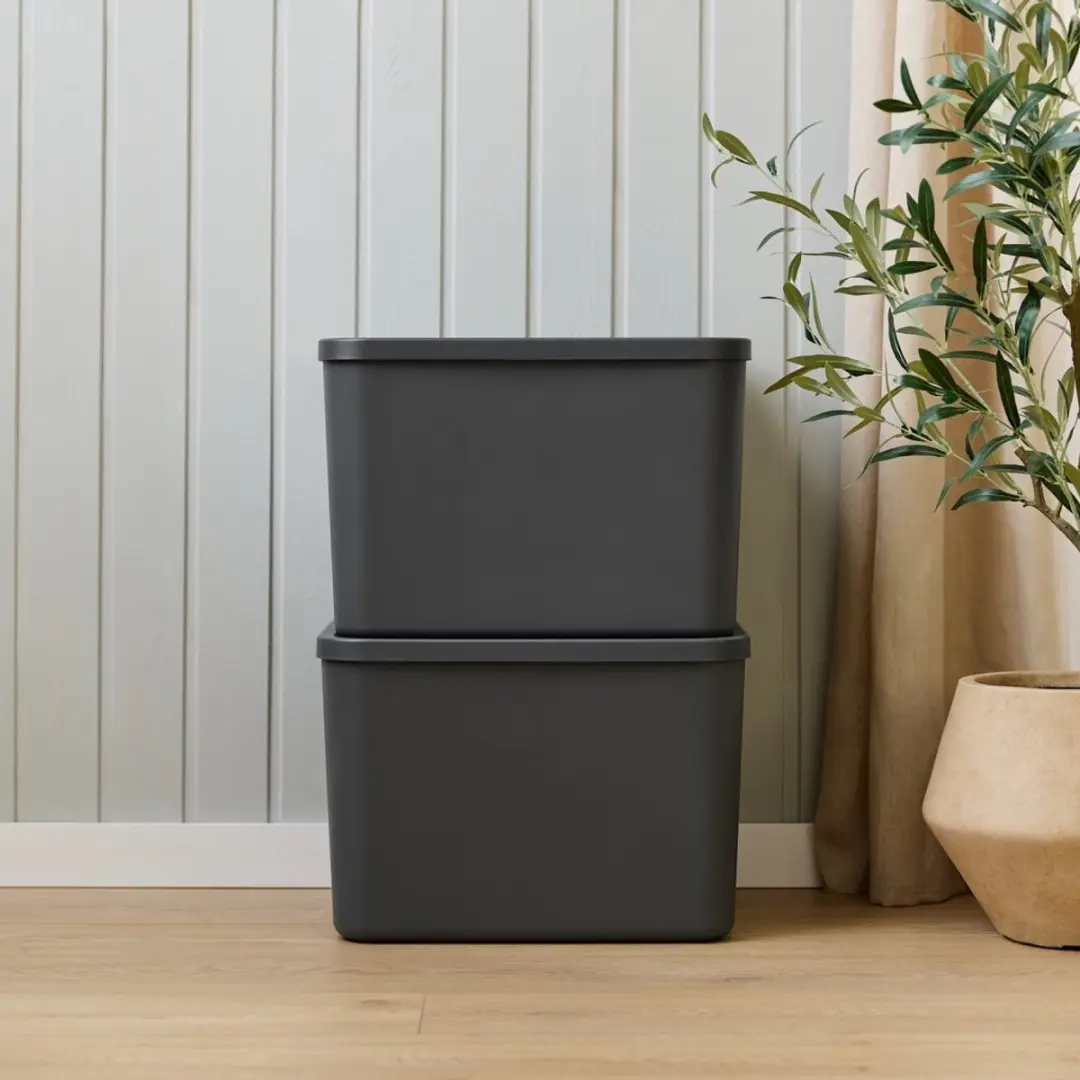 Rotho Albula Multibox 55L - Antraciet