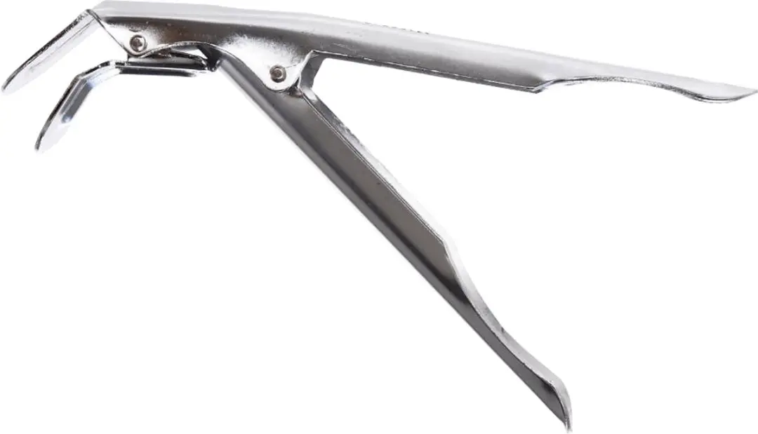 The Bastard Grill Clipper RVS