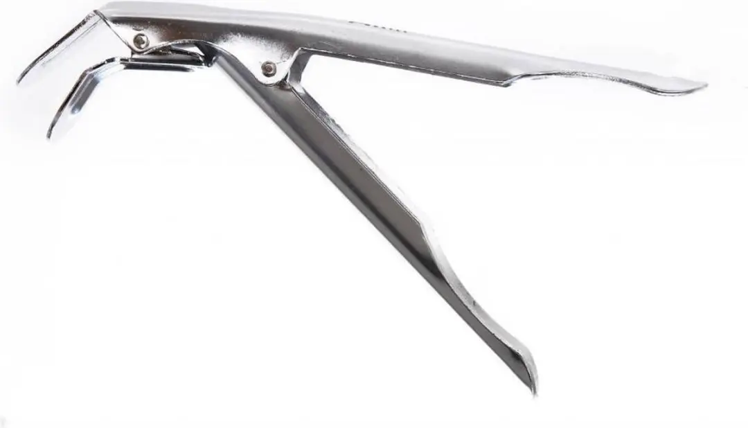 The Bastard Grill Clipper RVS