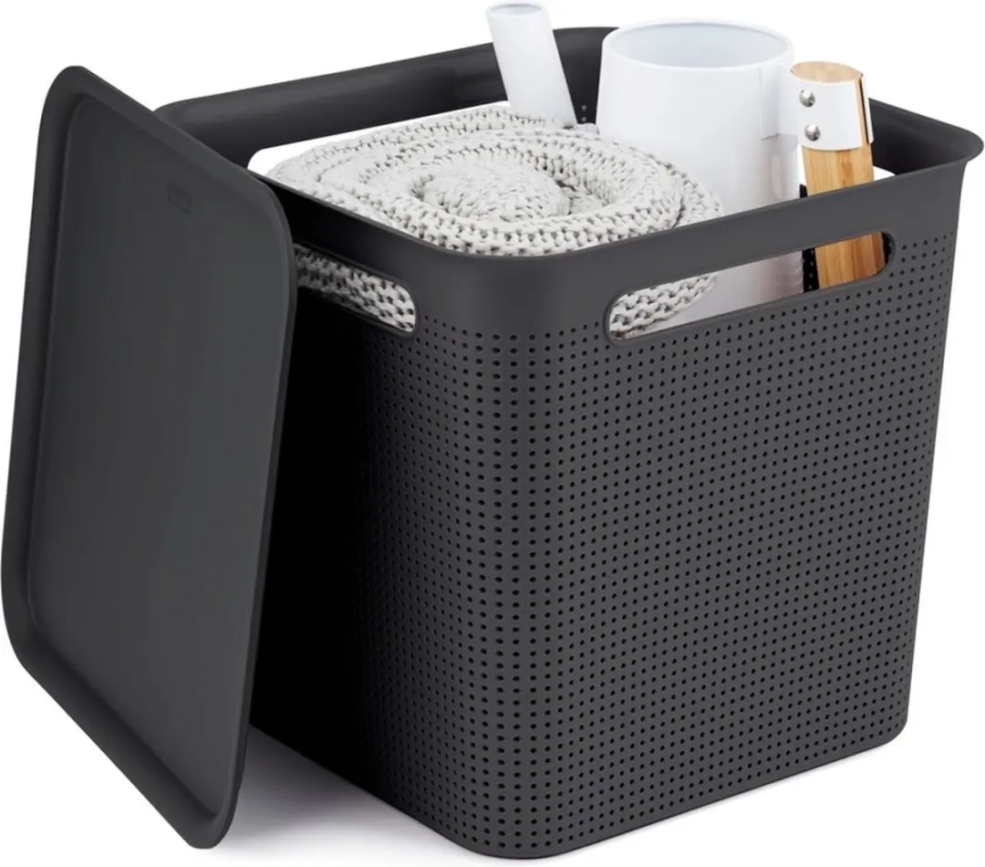 Rotho Brisen Opbergmand 18L - 29x29x28cm Antraciet