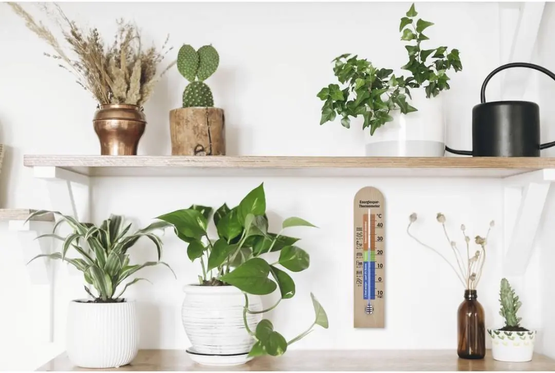 TFA Dostmann Energiespar-Thermometer Natuur - Leer