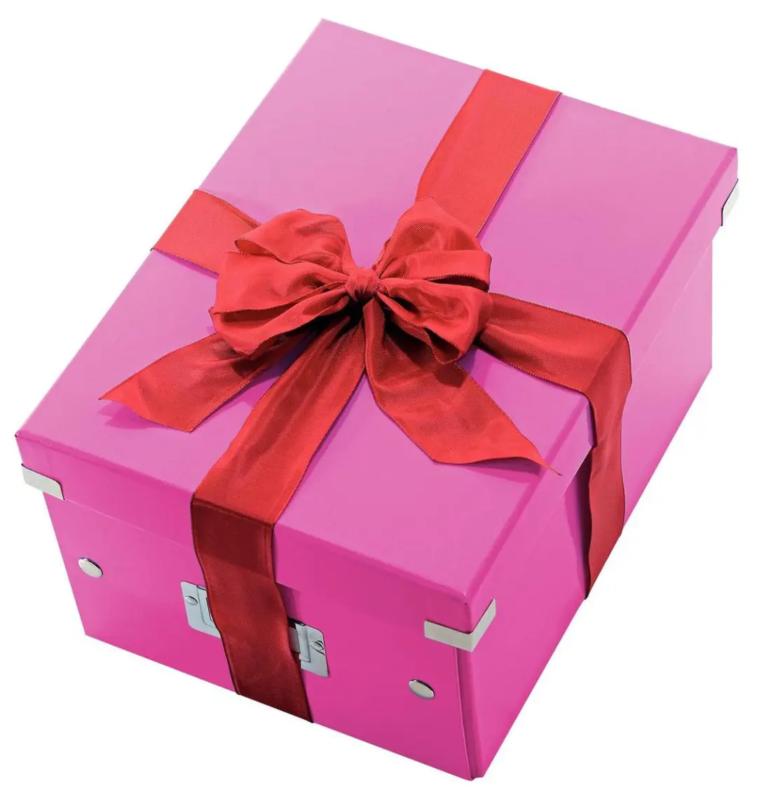 Leitz WOW Click & Store Opbergdoos A4 Roze - 28.1x37cm