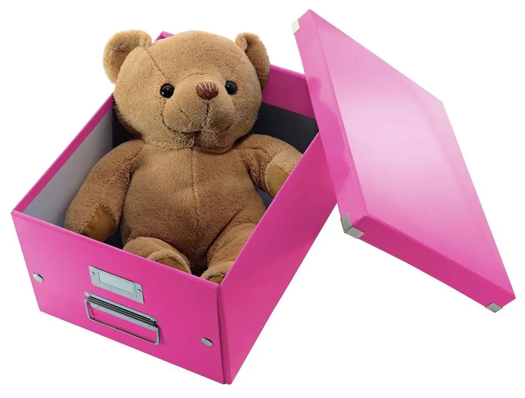 Leitz WOW Click & Store Opbergdoos A4 Roze - 28.1x37cm