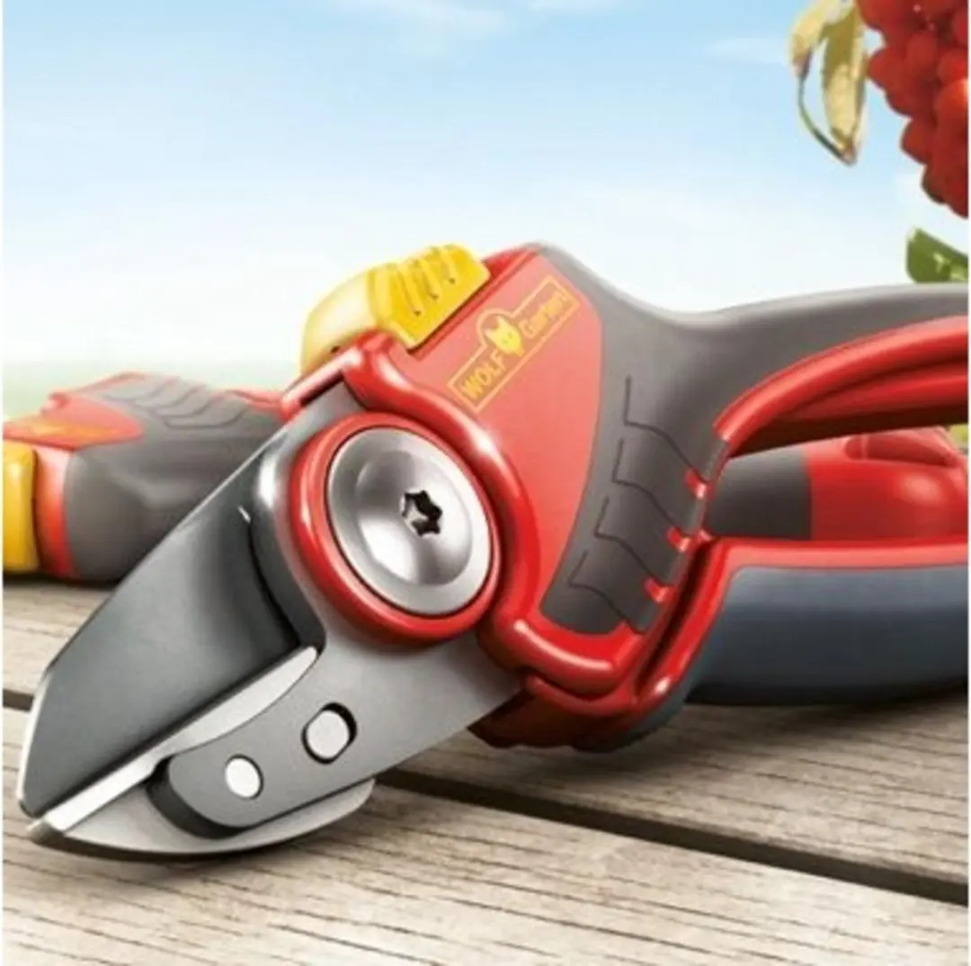 WOLF GARTEN RS4000 AAMBEELD SNOEISCHAAR PREMIUM PLUS