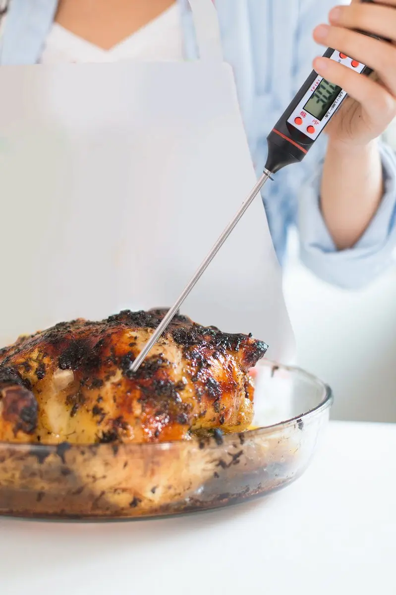Alpina Digitale Vleesthermometer
