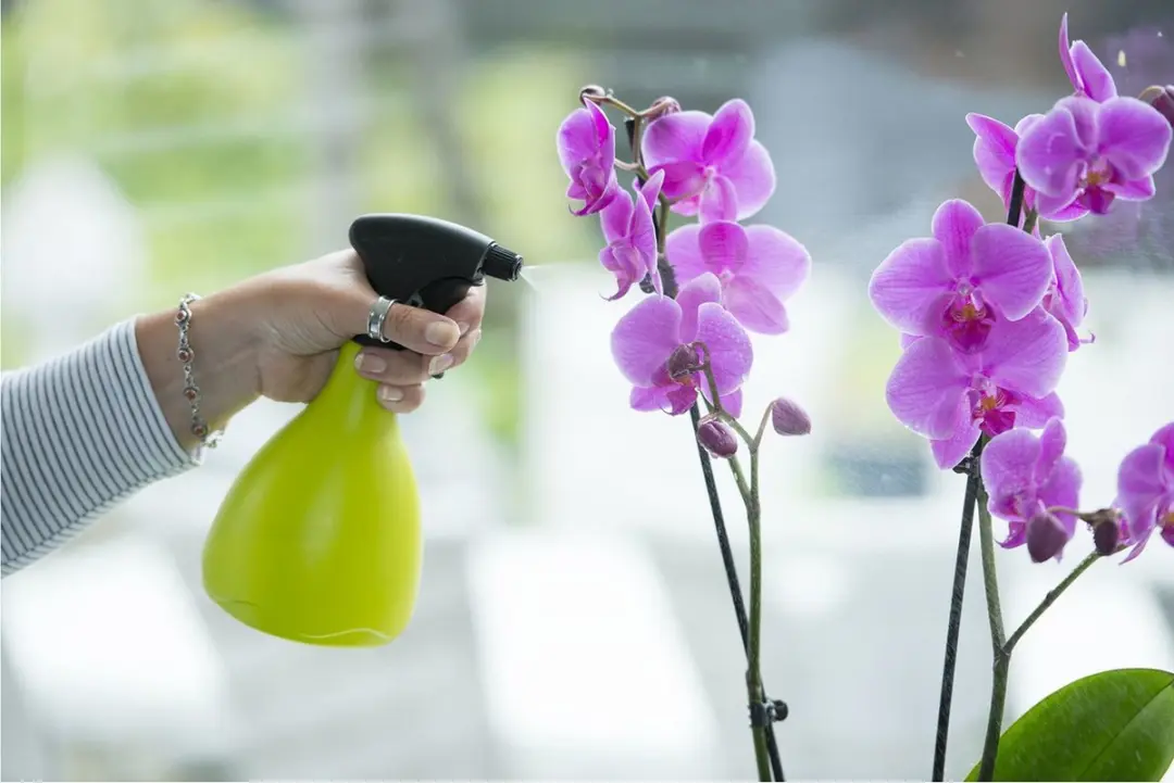 Nature Plantenspuit 700ml - Groen