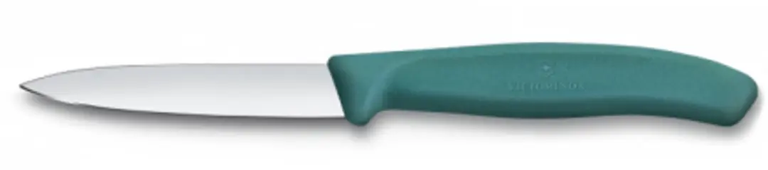 Victorinox Swiss Classic Schilmesje 8cm