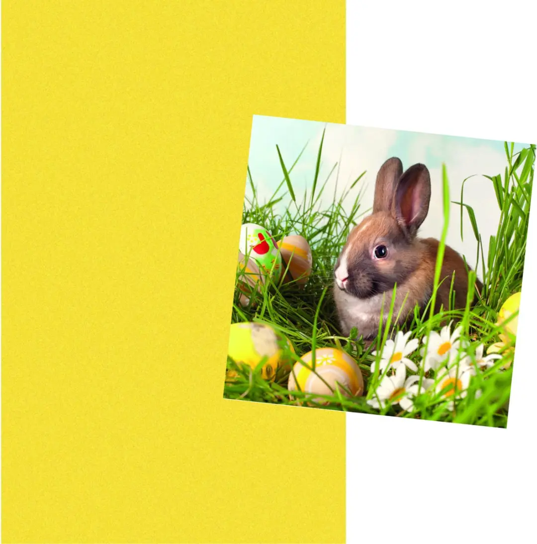 Duni Pasen Tafelkleed 138x220cm - 20x Servetten Geel
