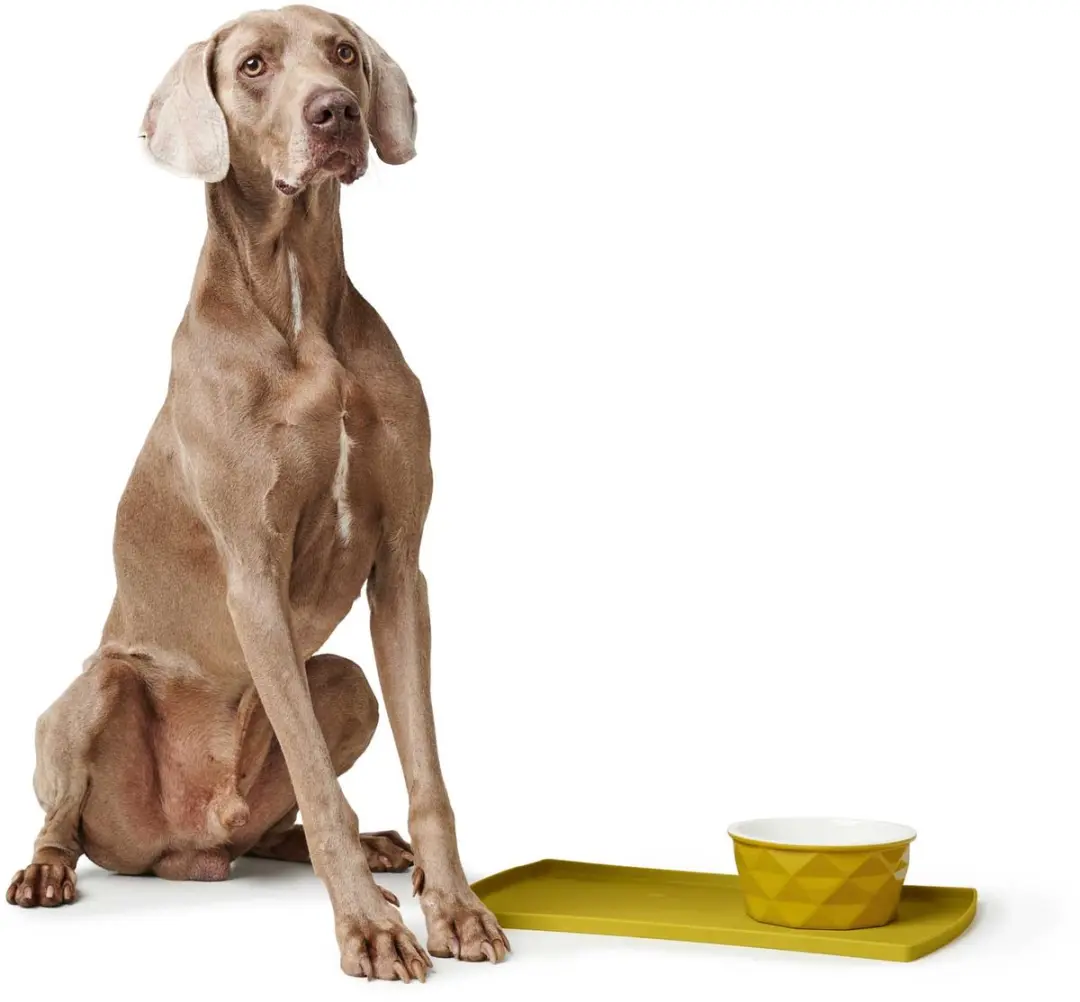 Hunter Eiby Placemat - Oker Geel